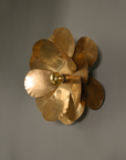 Applique Cosmos