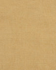 Tissu Samba