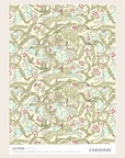 Échantillon Papier Peint
