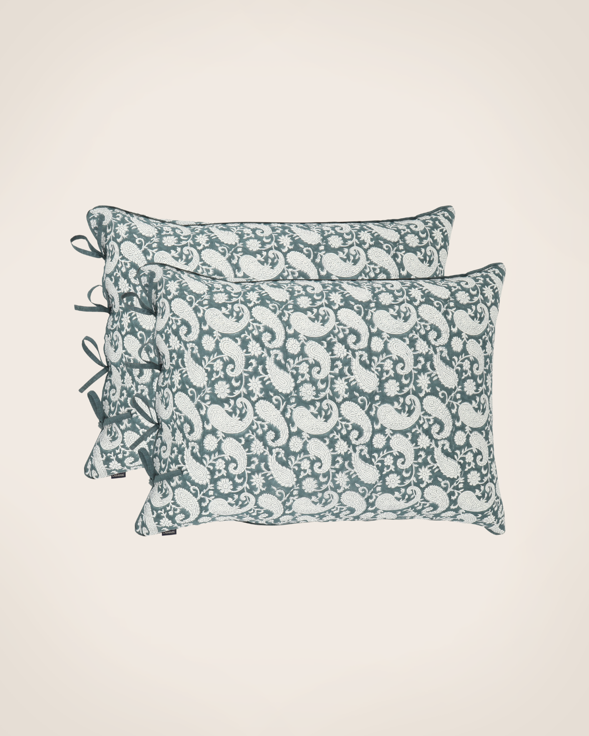 Set de 2 taies d'oreiller Paisley